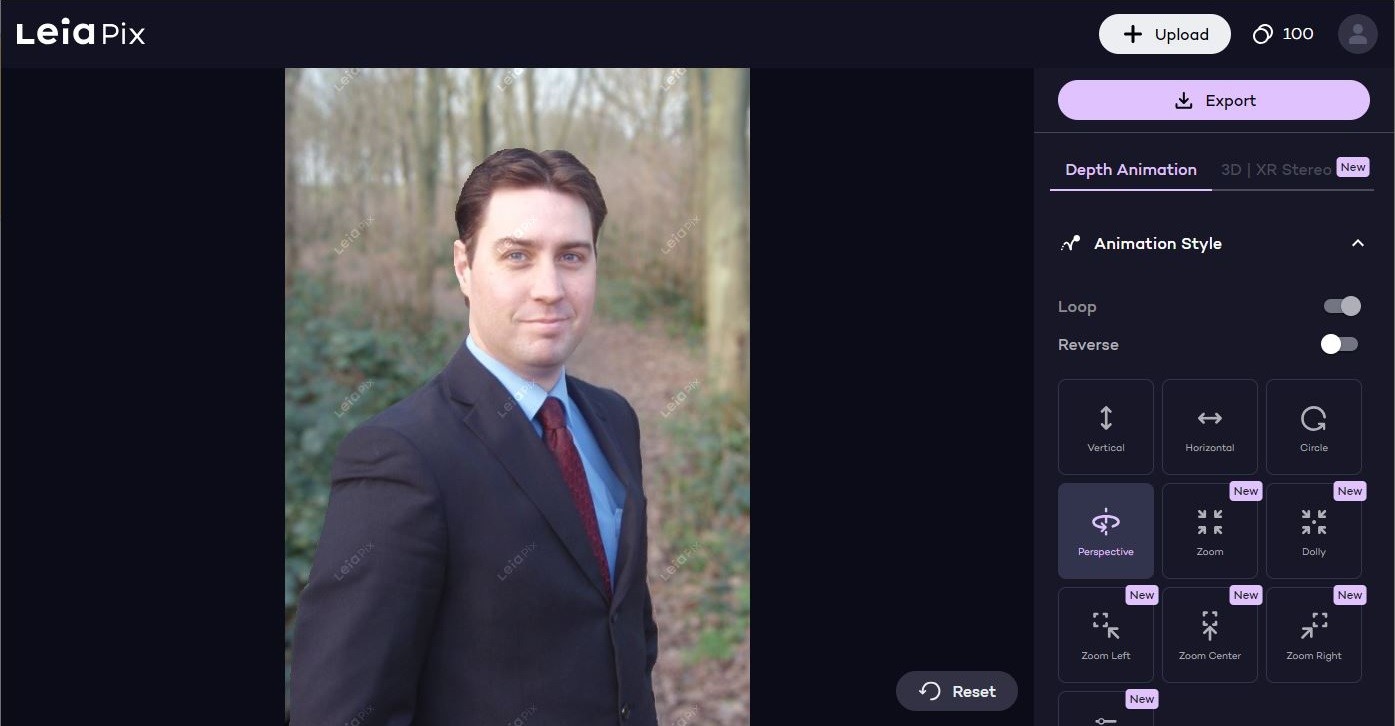 ابزار متحرک‌کردن عکس با هوش مصنوعی LeiaPix