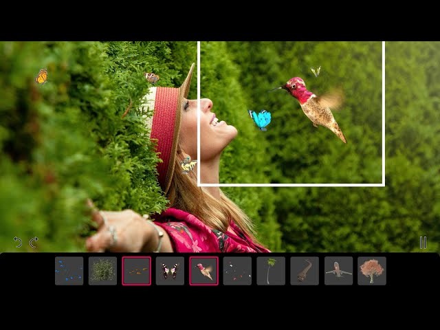 ابزار متحرک‌کردن عکس با هوش مصنوعی PixaMotion
